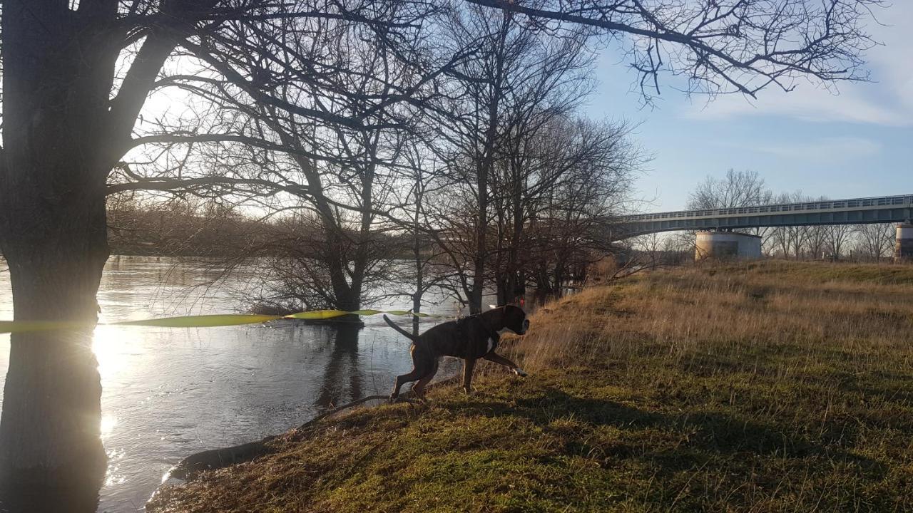 Zimmervermietung Zahn Baalberge Kültér fotó