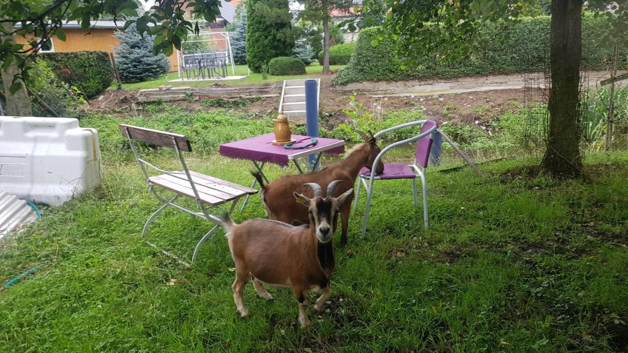 Zimmervermietung Zahn Baalberge Kültér fotó